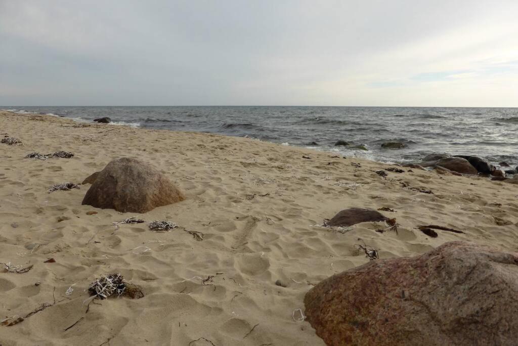 Oak Cottage Near Ronne & Beach Экстерьер фото